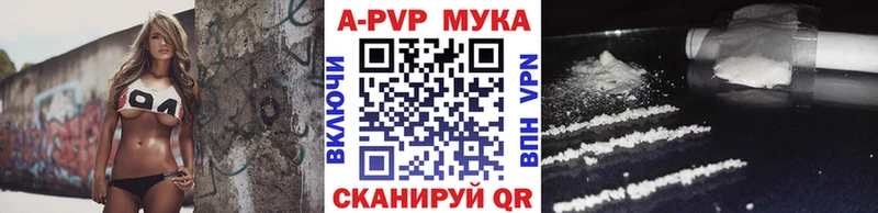 Бошки Шишки Темников